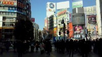 201101280929000.jpg