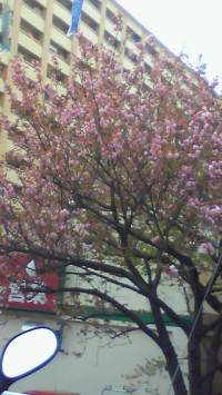 201104180817000.jpg