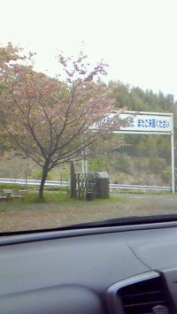 201105030819000.jpg