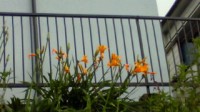 201106171808001.jpg