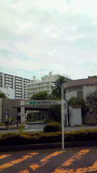 201107010854001.jpg